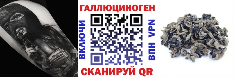 сколько стоит  Орёл  Галлюциногенные грибы MAGIC MUSHROOMS 